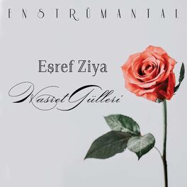 Album cover of Hasret Gülleri Enstrümantal