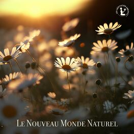 Album cover of Le Nouveau Monde Naturel