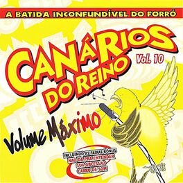 Album cover of A Batida Inconfudivel Do Forró - Volume Máximo Vol.10