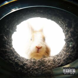 Album cover of Rabbit hole (feat. Ayah The Light)