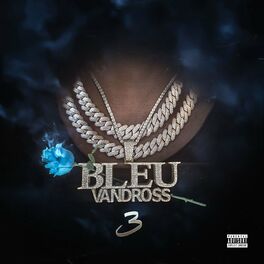 Album cover of Bleu Vandross 3