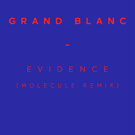 Album cover of Evidence (Molecule Remix) - Single