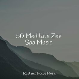 Album cover of 50 Meditate Zen Spa Music