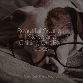 Album cover of Inspiriting Storm Melodies For Dogs