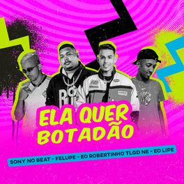 Album cover of Ela Quer Botadão