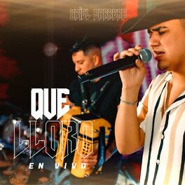 Album cover of Que Lloro (En Vivo)