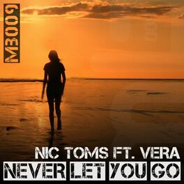 Album cover of Never Let You Go
