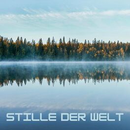 Album cover of Stille der Welt