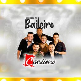 Album cover of Bota Bebida pro Baileiro