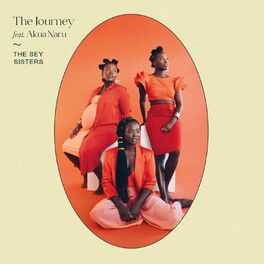 Album cover of The Journey