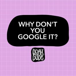 Album cover of Why Don't You Google It?