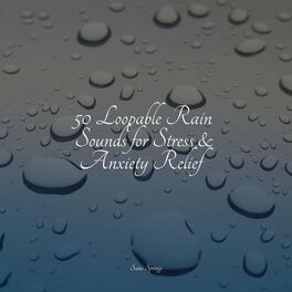 Album cover of 50 Loopable Rain Sounds for Stress & Anxiety Relief