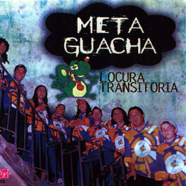 Album cover of Locura Transitoria