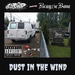 Album cover of Dust in the Wind