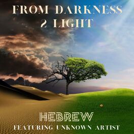 Album cover of From Darkness 2 Light (feat. Unknown Artist)