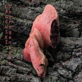 Album cover of Sporogenesis