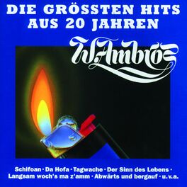 Album cover of Die Grossten Hits Aus 20 Jahren