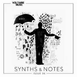 Album cover of Synths and Notes 36