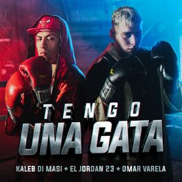 Album cover of Tengo Una Gata