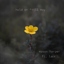 Album cover of Hold on 'till May
