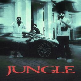 Album cover of Jungle (feat. Inderpal Moga)
