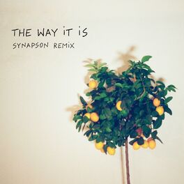 Album cover of The Way It Is (Synapson Remix)