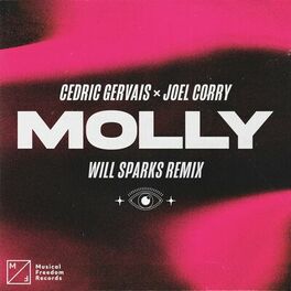 Album cover of MOLLY (Will Sparks Remix)