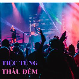 Album cover of Tiệc Tùng Thâu Đêm