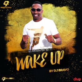 Dj bravo song free hot sale download