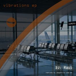 Album cover of Vibrations EP