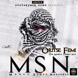 Album cover of MSN (Money Stops Nonsense)