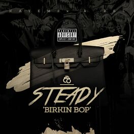 Album cover of Steady (Birkin Bop)