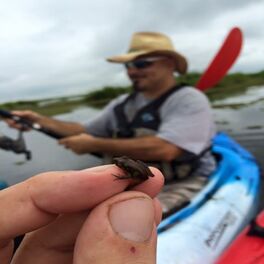 Album cover of Bayou Boy (feat. Bassgator)