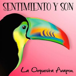 Album cover of Sentimiento Y Son
