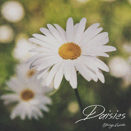 cover me in daisies