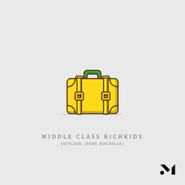 Album cover of Suitcase (feat. Rochelle)