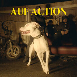 Album cover of Auf Action