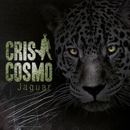 Album cover of Jaguar