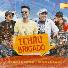 Album picture of Tchau Brigado (Ao Vivo)