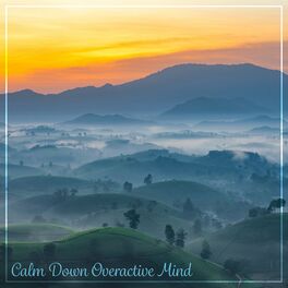 Album cover of Calm Down Overactive Mind