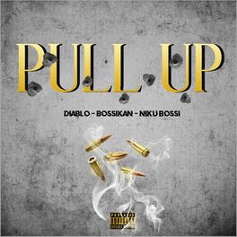 Album cover of PULL UP