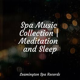 Album cover of Spa Music Collection | Meditation and Sleep