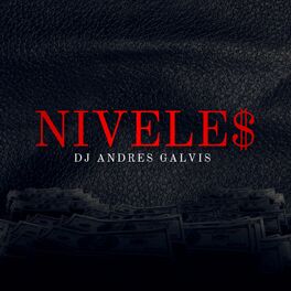 Album cover of Niveles$