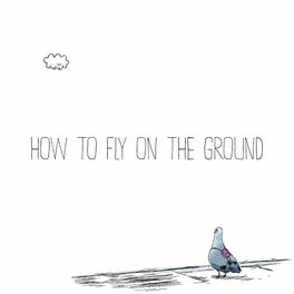 Album cover of How To Fly On The Ground