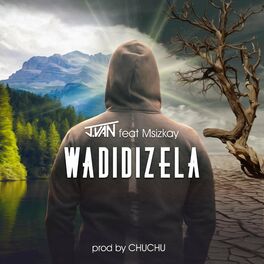 Album cover of Wadidizela (feat. Msiz'kay)