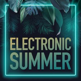 Album cover of Electronic Summer