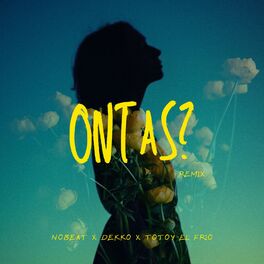 Album cover of Ontas? (Remix)
