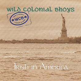 Album cover of Irish In America