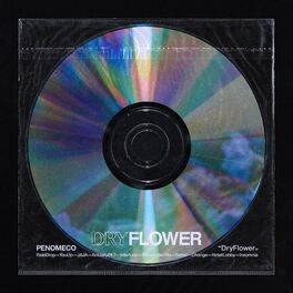 Album cover of Dry Flower