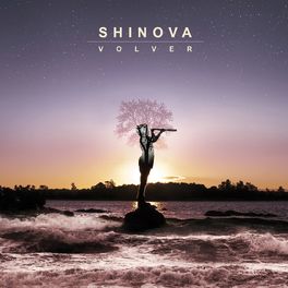 Album cover of Volver